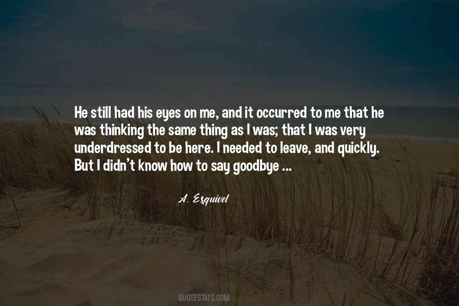 Didn't Get To Say Goodbye Quotes #1710408