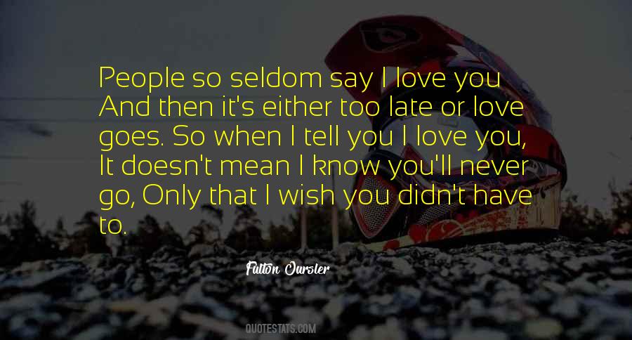 Didn't Get To Say Goodbye Quotes #470931