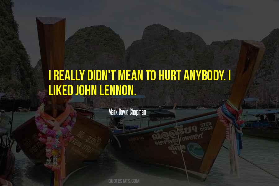 Didn't Mean To Hurt Quotes #38214