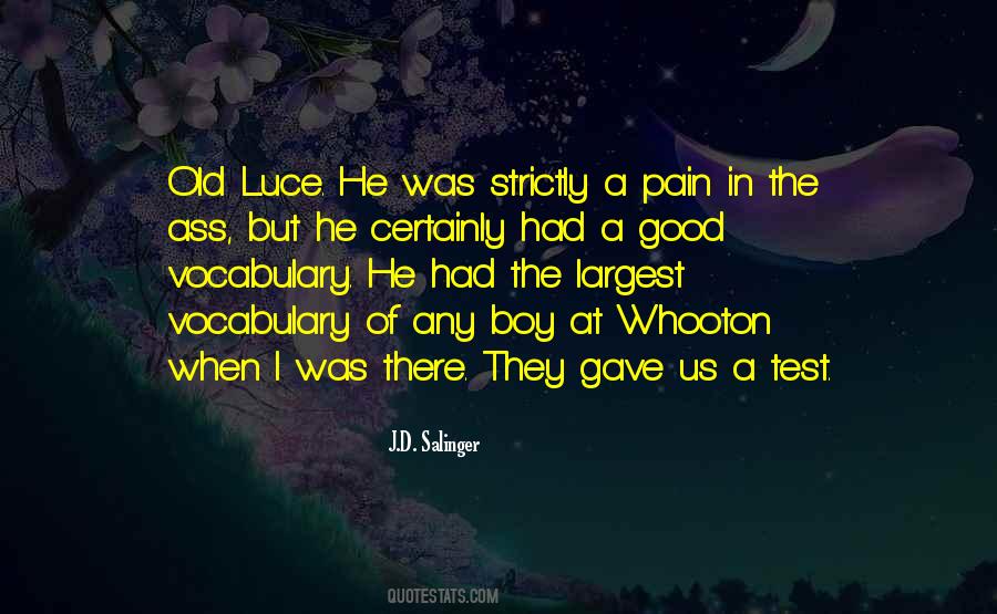 When I Was In Pain Quotes #1599170