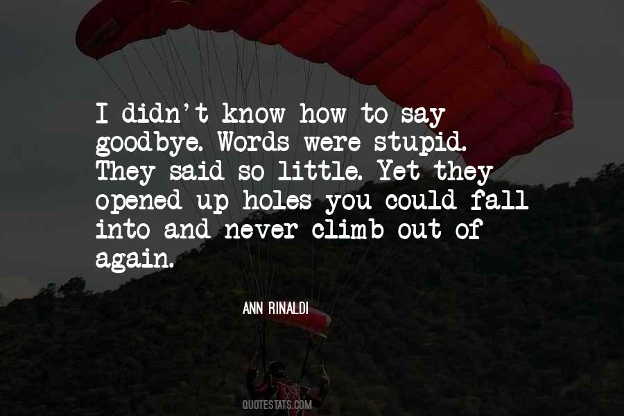 Didn't Say Goodbye Quotes #1520445