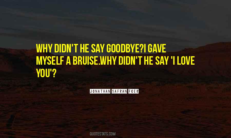 Didn't Say Goodbye Quotes #251018