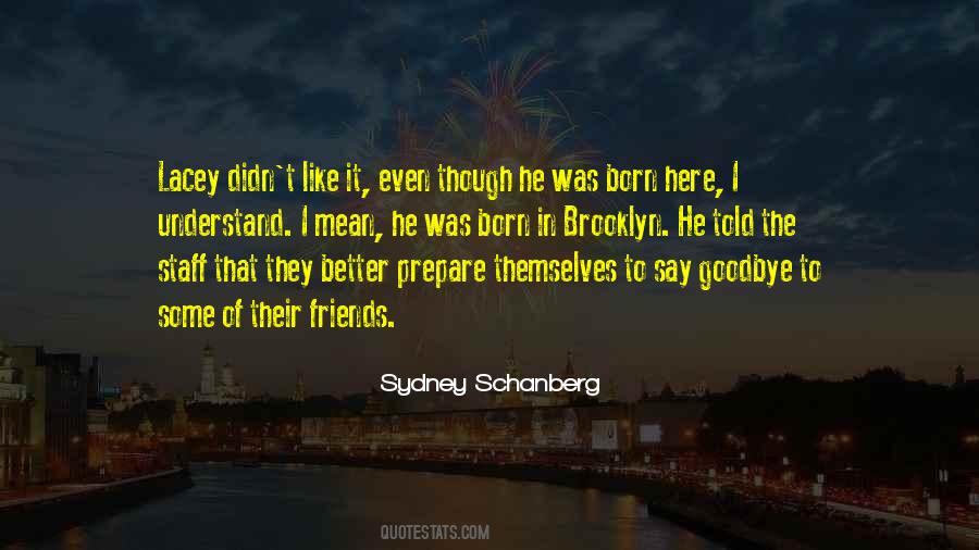 Didn't Say Goodbye Quotes #603832