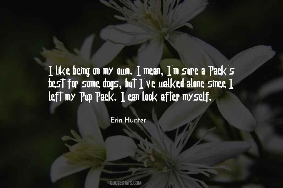 I Like Being Alone Quotes #1255336
