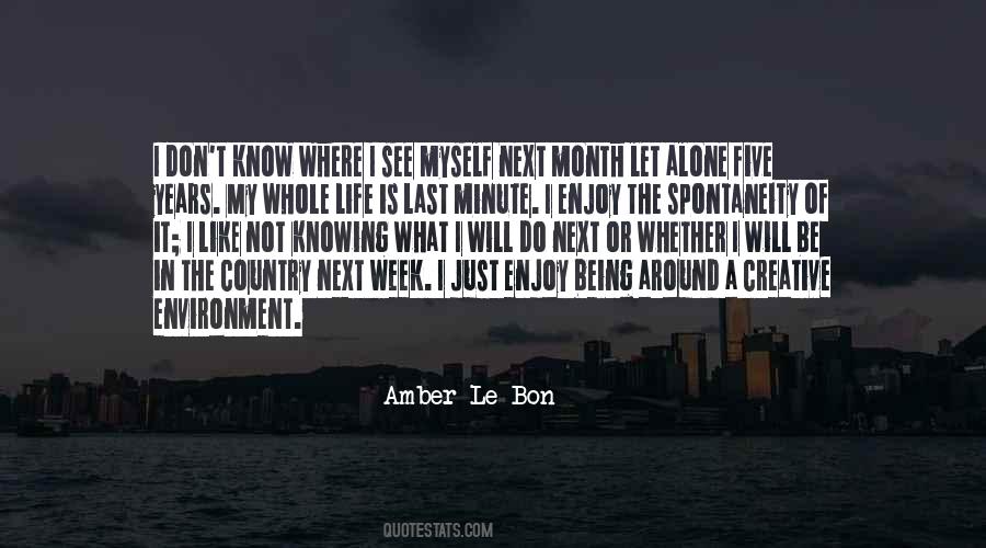 I Like Being Alone Quotes #220246