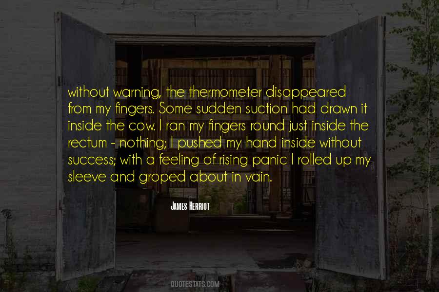 Mountain To Mohammed Quotes #1329406