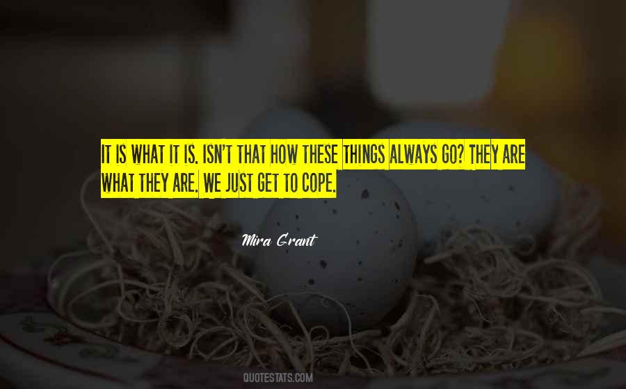 Diego Marchi Quotes #1521179