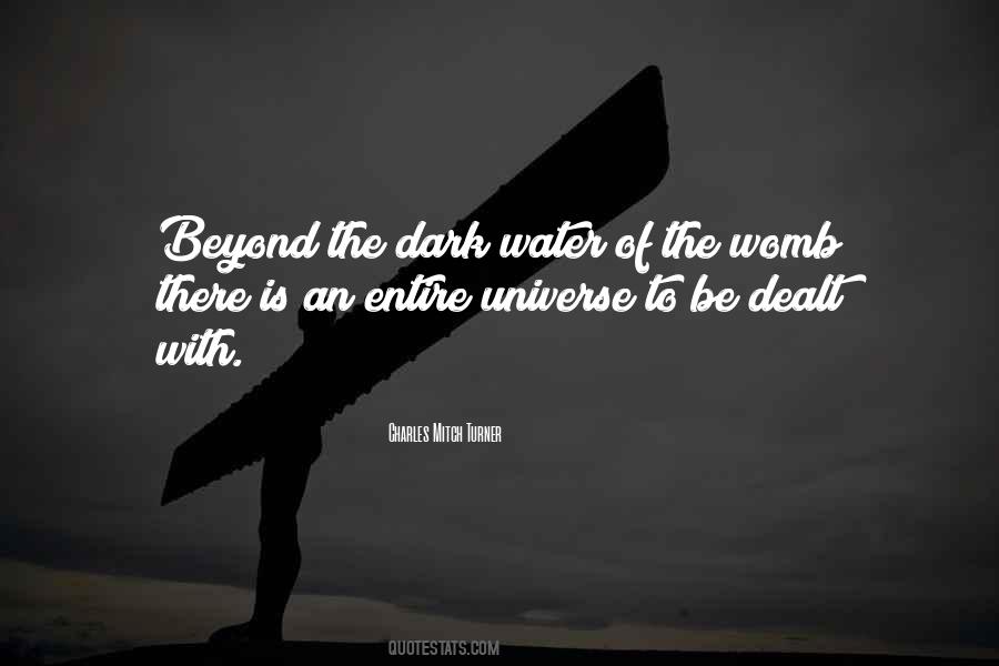 Water Of The Womb Quotes #1186311