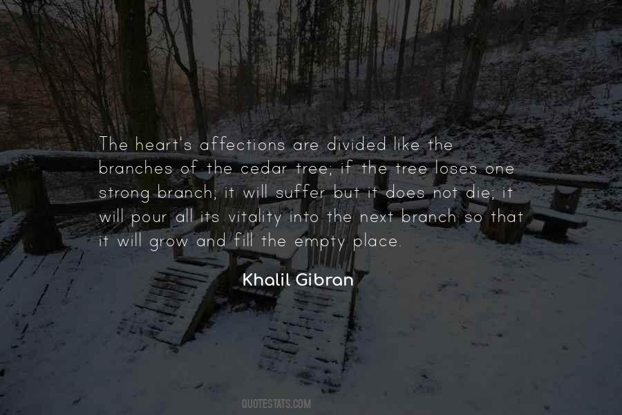 My Heart Is Divided Quotes #1642973