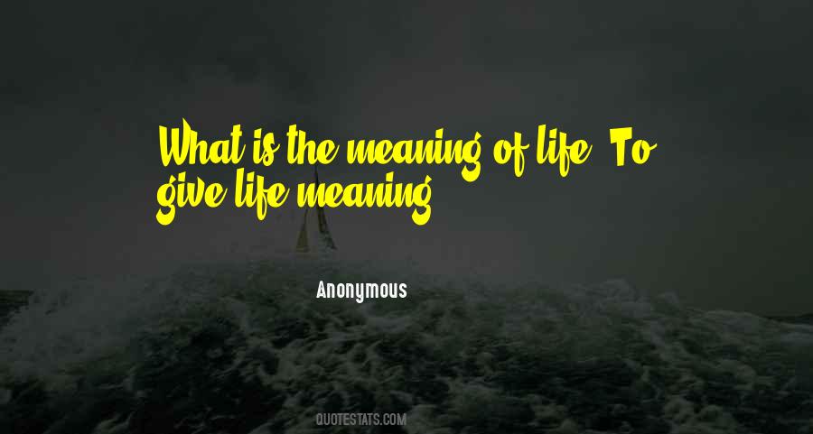 Give Meaning To Life Quotes #594101