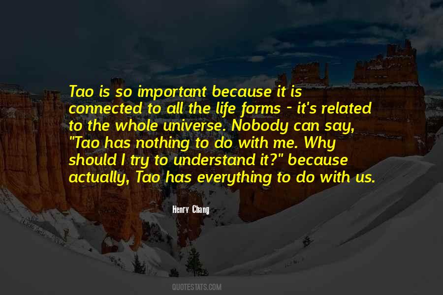 Nobody Can Understand Quotes #1172343