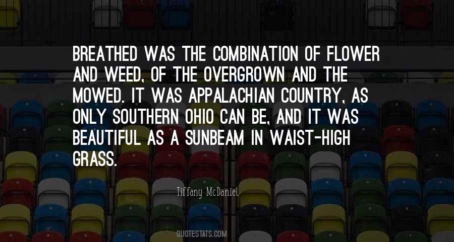 Be A Weed Quotes #727532