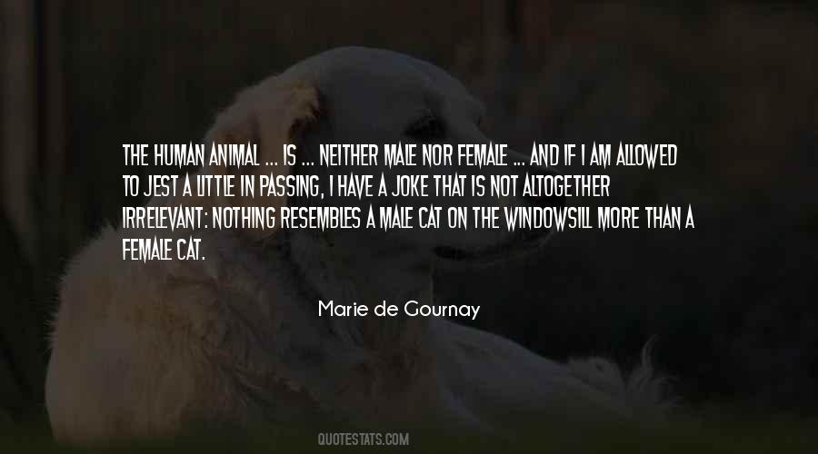 Male Cat Quotes #1087747