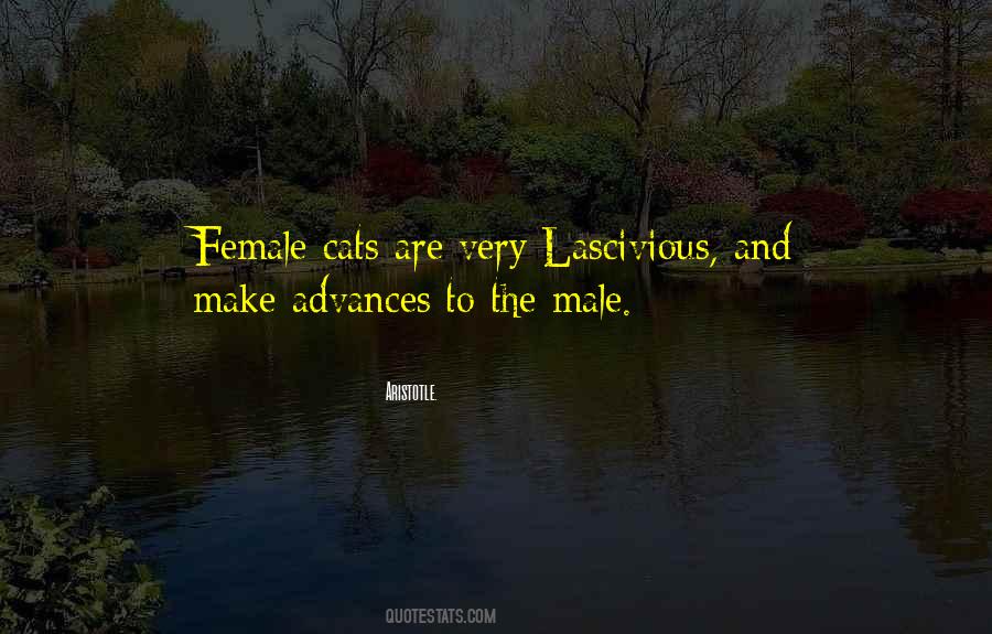 Male Cat Quotes #799226
