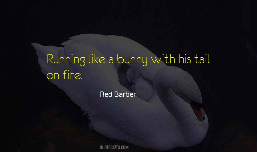 Bunny With Quotes #1622274