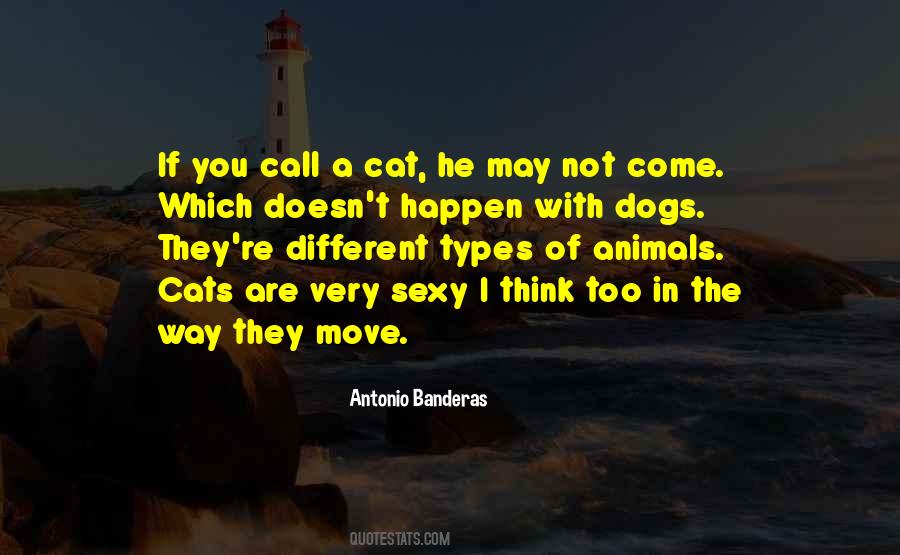Different Types Of Quotes #1178923
