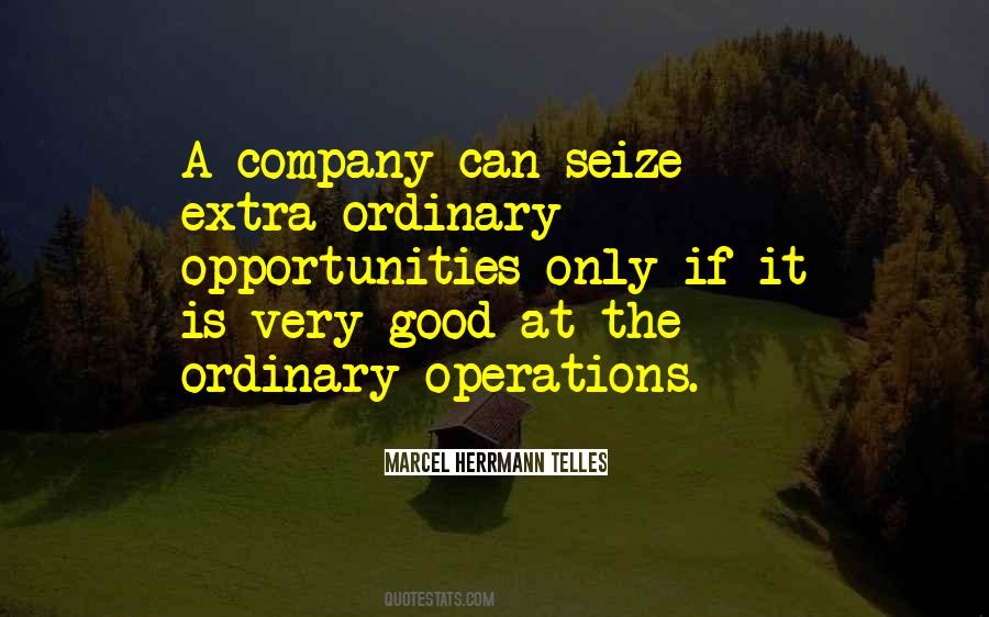 Seize Opportunities Quotes #1385423