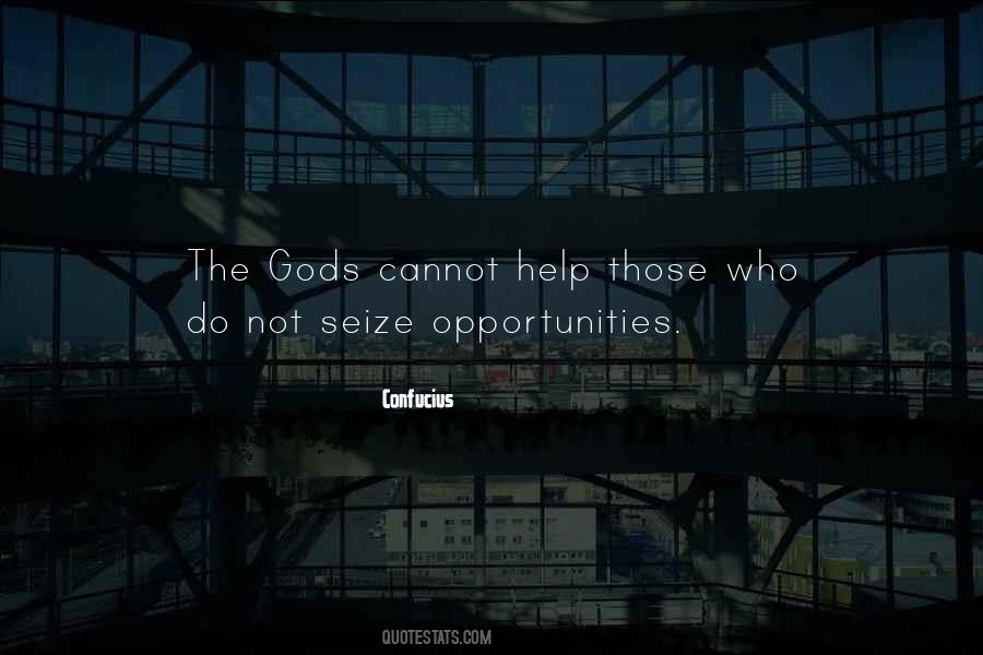 Seize Opportunities Quotes #995488