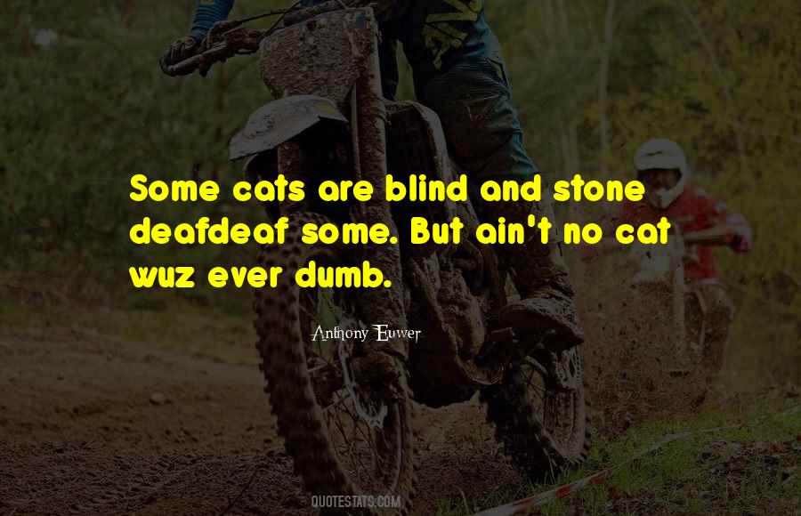 Dumb Cat Quotes #1220418