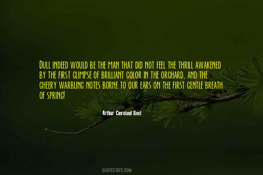 Feel The Spring Quotes #453846