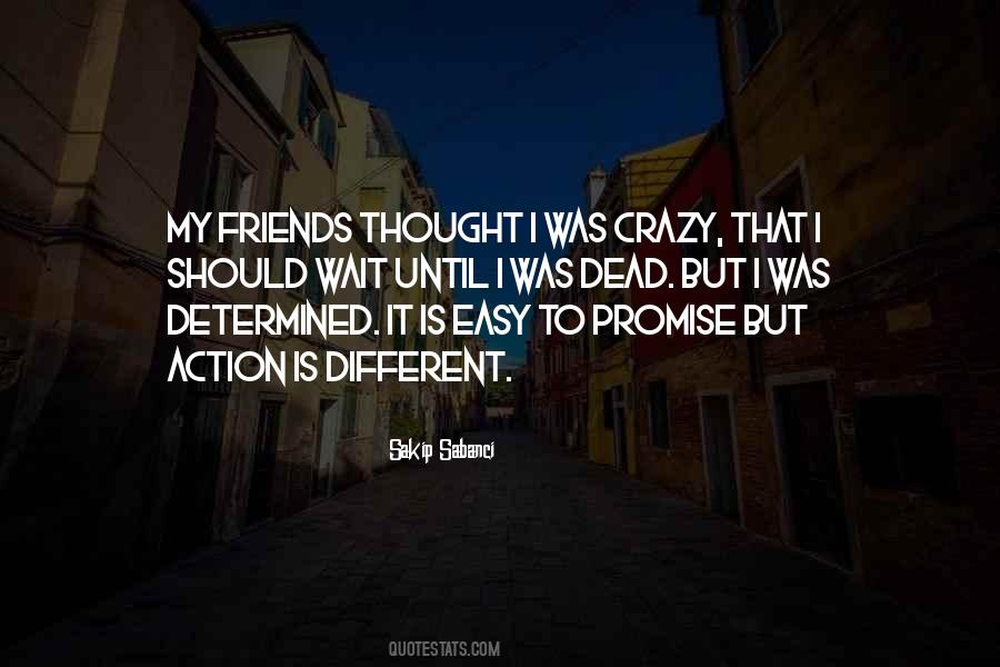 Doing Crazy Things With Friends Quotes #156927