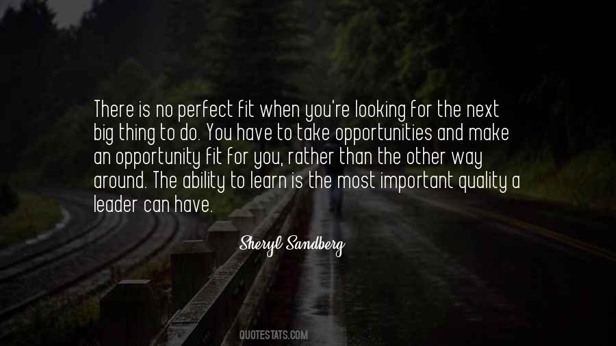 Perfect Leader Quotes #1505490