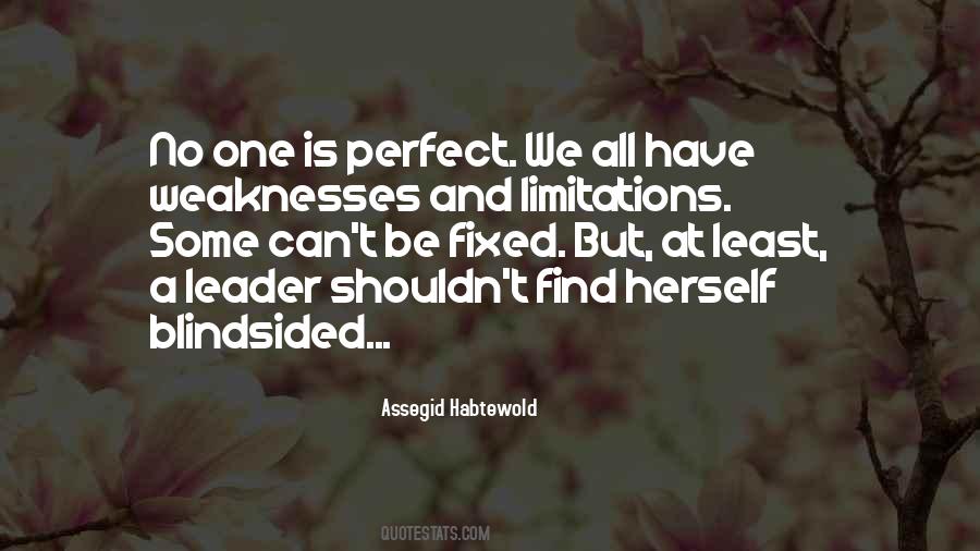 Perfect Leader Quotes #1615016