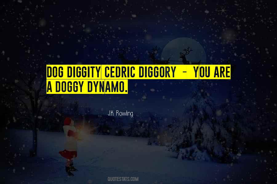 Diggory Quotes #991297