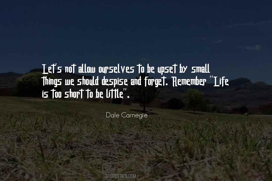 Life Small Things Quotes #930806