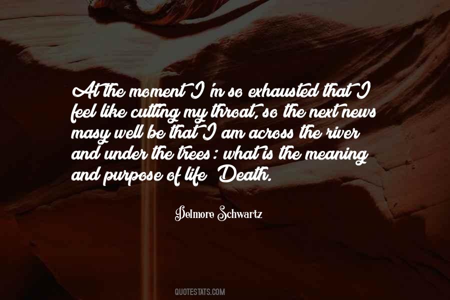 Meaning Death Quotes #557178