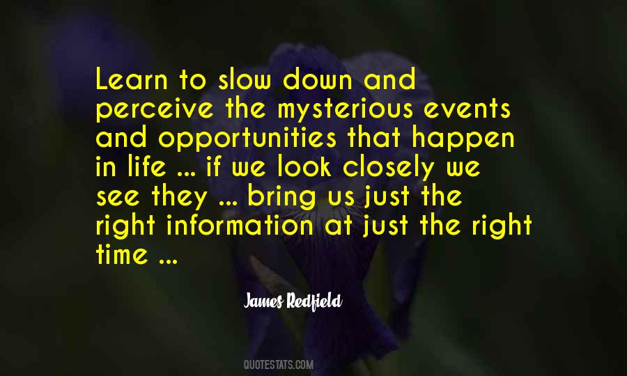 Things You Only See When You Slow Down Quotes #1206241