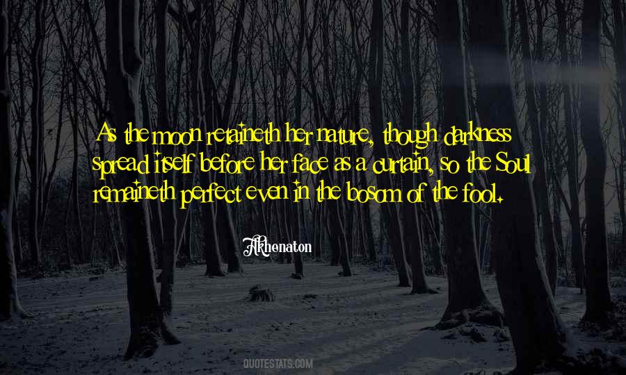 Quotes About The Nature Of The Soul #367494