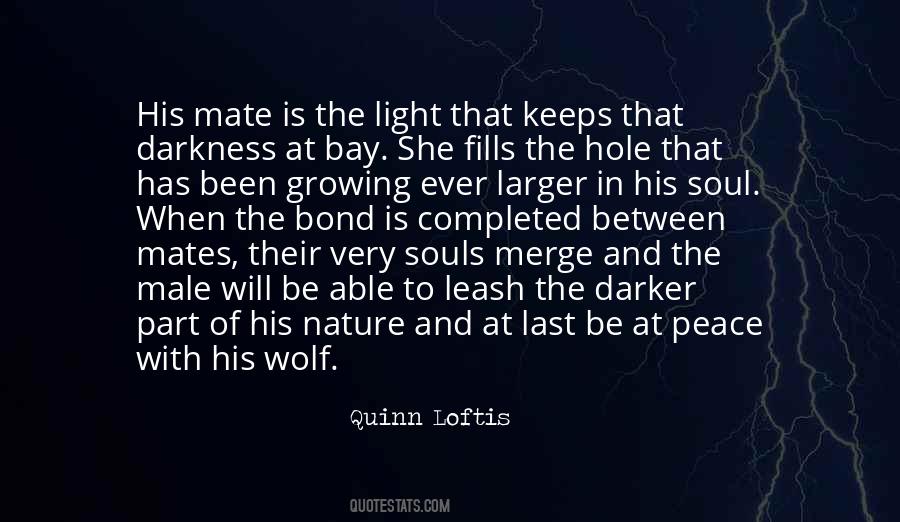 Quotes About The Nature Of The Soul #690015