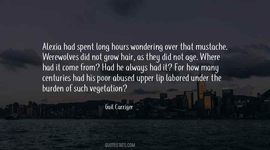 Mla In Text Citation Long Quotes #676442