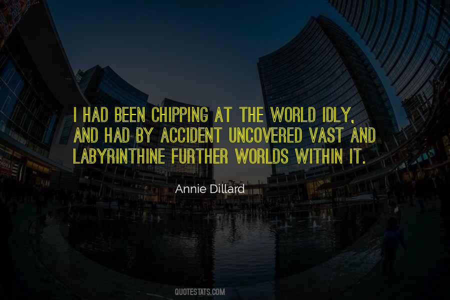 Dillard Quotes #93062