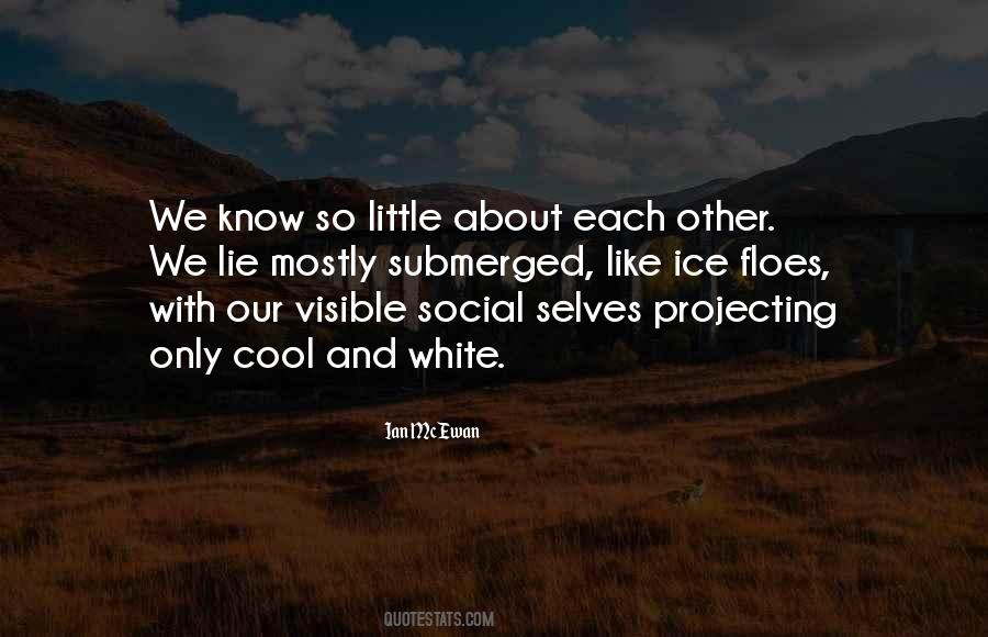 One Little Lie Quotes #199835
