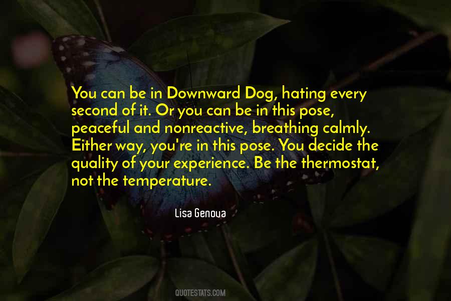 Attitude Dog Quotes #1821000