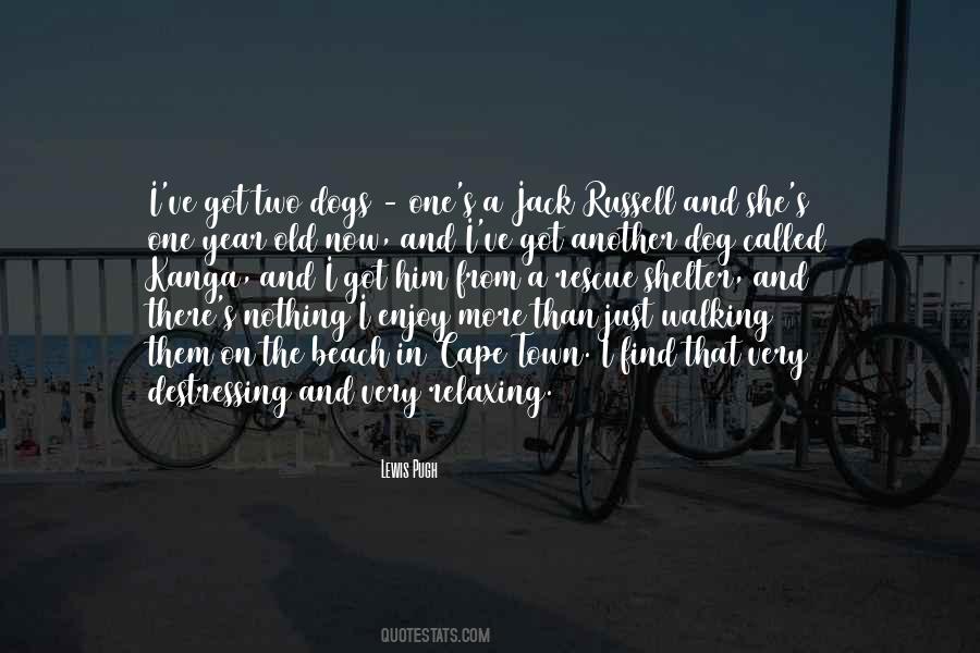 2 Year Old Dog Quotes #1719254
