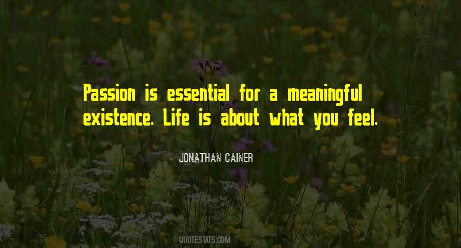 You Are Meaningful To Me Quotes #148041