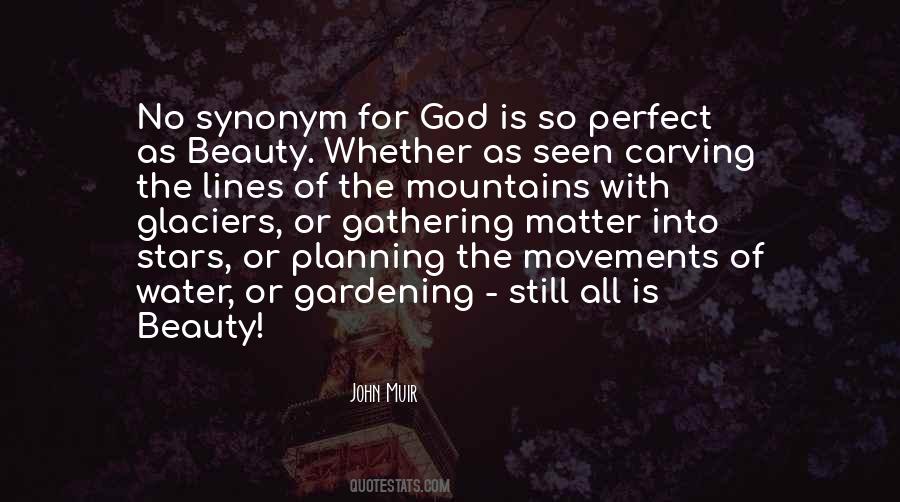 Beauty Of The Mountains Quotes #1577569