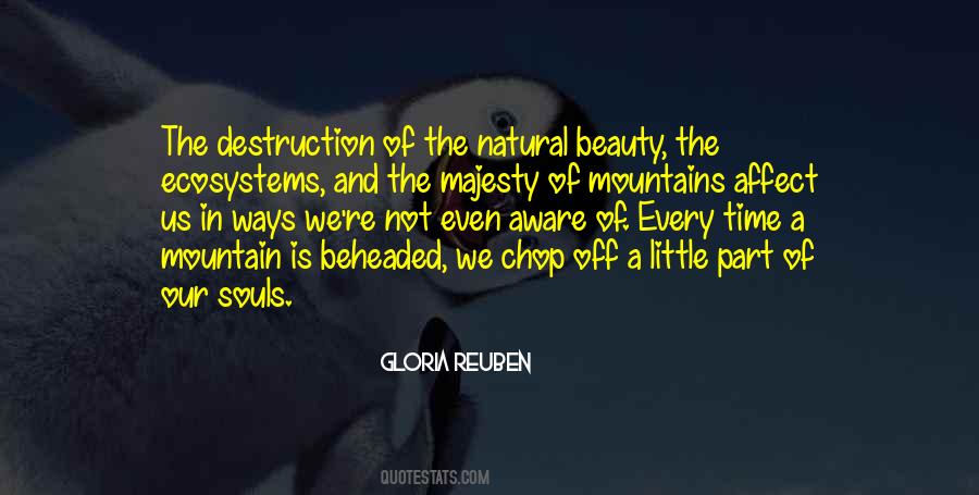 Beauty Of The Mountains Quotes #933546