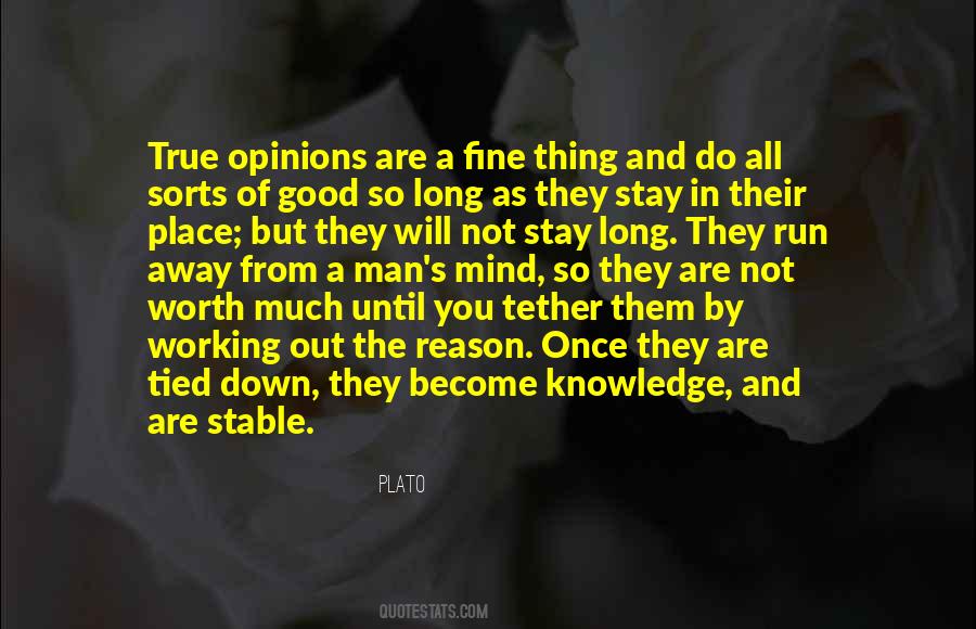 No Reason To Stay Is A Good Reason To Go Quotes #1308591