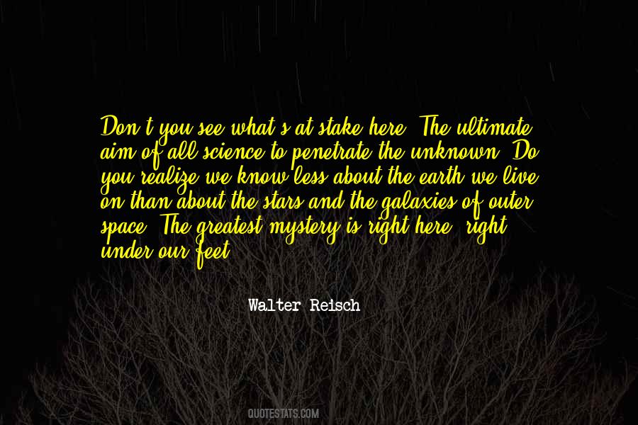 All Of The Stars Quotes #1524102