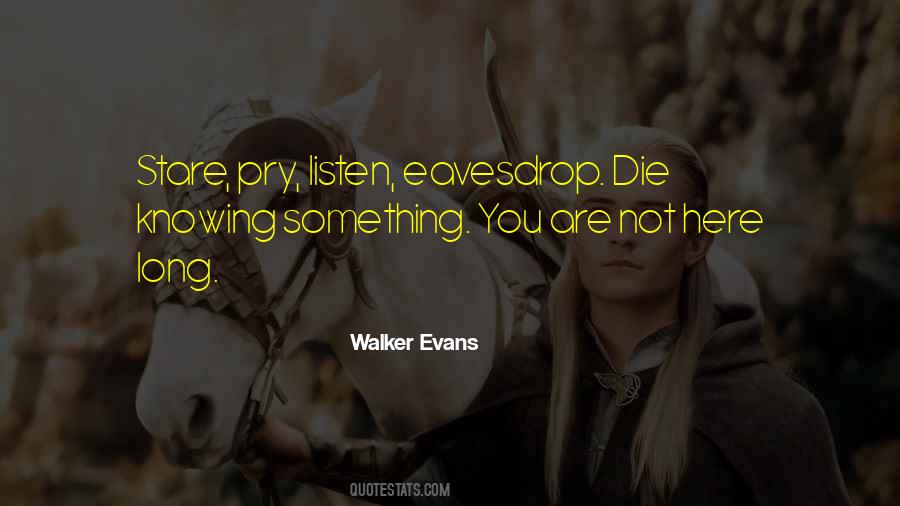 Thick Nhat Han Quotes #982981