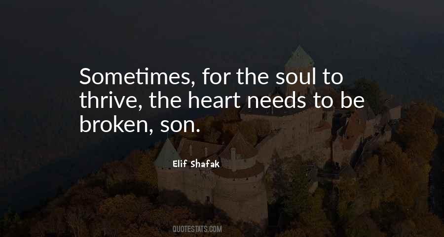 Broken Heart Soul Quotes #1623241