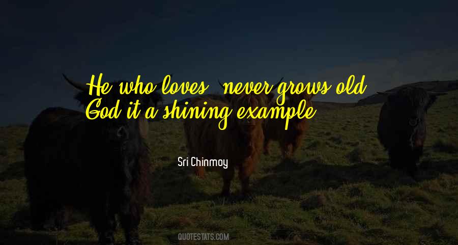 Football Team Support Quotes #1011826