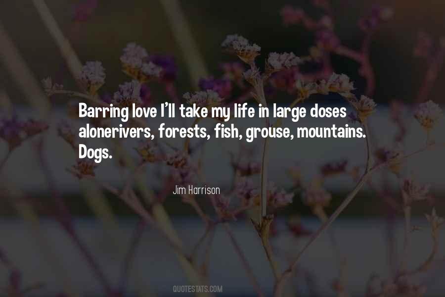 Jim Harrison Love Quotes #1763495