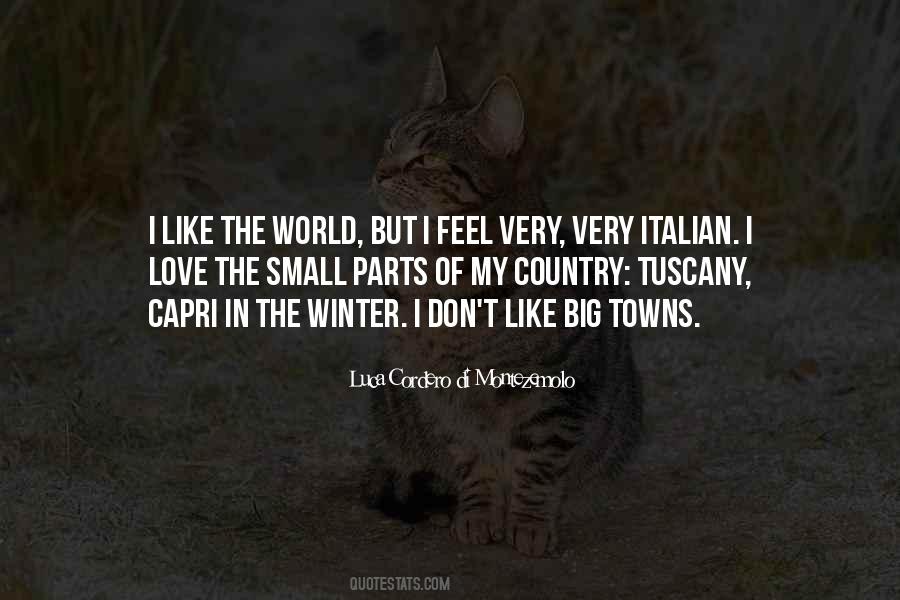 I Love Winter Quotes #870956