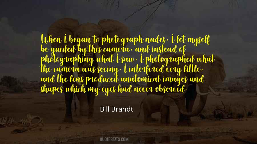 Seeing The Beauty Quotes #844634