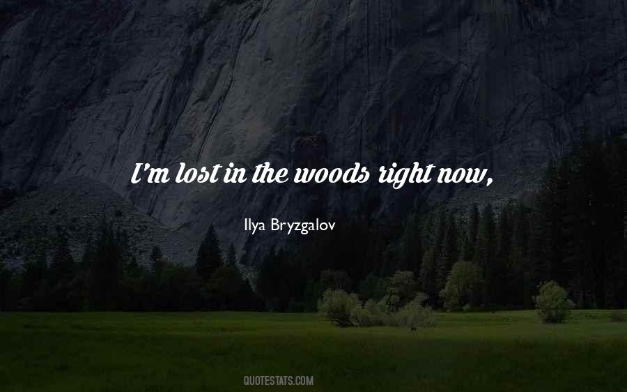 I M Lost Quotes #1611349